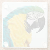 Dessous-de-verre En Verre Oiseau de perroquet tropical (Dos)