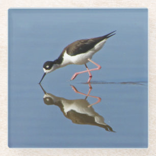 Dessous-de-verre En Verre Oiseau de rivage avec reflet d'eau Photo de nature