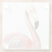 Dessous-de-verre En Verre Oiseau tropical de Flamant rose (Dos)