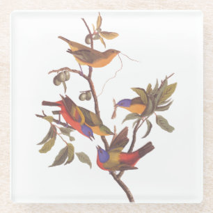 Dessous-de-verre En Verre Oiseaux Audubon de Bunting Peint dans un arbre fru