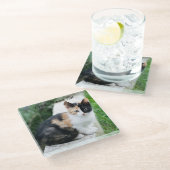 Dessous-de-verre En Verre Opera Phantom Chat (Incliné)