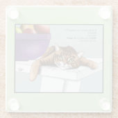 Dessous-de-verre En Verre Orange Tabby Cute Traitements (Dos)