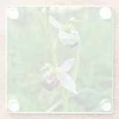 Dessous-de-verre En Verre Orchidée (Dos)