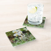 Dessous-de-verre En Verre Orchidée blanche (Incliné)