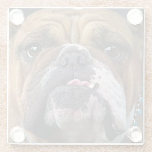 Dessous-de-verre En Verre Oreillers à lancer de Bulldog anglais (Dos)