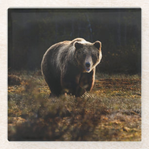 Dessous-de-verre En Verre Ours