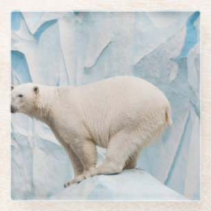 Dessous-de-verre En Verre Ours polaire : Zoo Habitat Aperçu