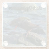 Dessous-de-verre En Verre Oystercatcher noir (Dos)