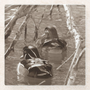 Dessous-de-verre En Verre Paire de canard à bois Sepia