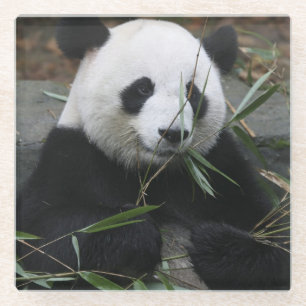 Dessous-de-verre En Verre Panda géant