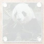 Dessous-de-verre En Verre Panda géant (Dos)