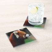 Dessous-de-verre En Verre Panda rouge (Incliné)