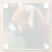Dessous-de-verre En Verre Panda rouge (Dos)
