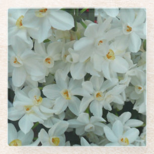 Dessous-de-verre En Verre Paperwhite Narcissus Fleurs blanches délicates