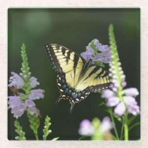 Dessous-de-verre En Verre Papillon Dans Le Jardin