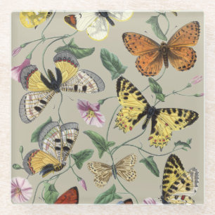 Dessous-de-verre En Verre Papillon de nuit vintage 1842 Art botanique floral
