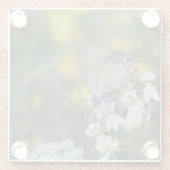 Dessous-de-verre En Verre Papillon d'hespérie sur une fleur (Dos)