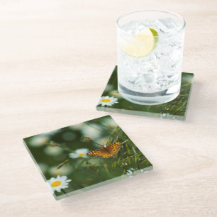 Dessous-de-verre En Verre Papillon du Pacifique