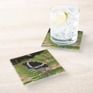 Dessous-de-verre En Verre Papillon noir sur Dessous de verre de verre de fou