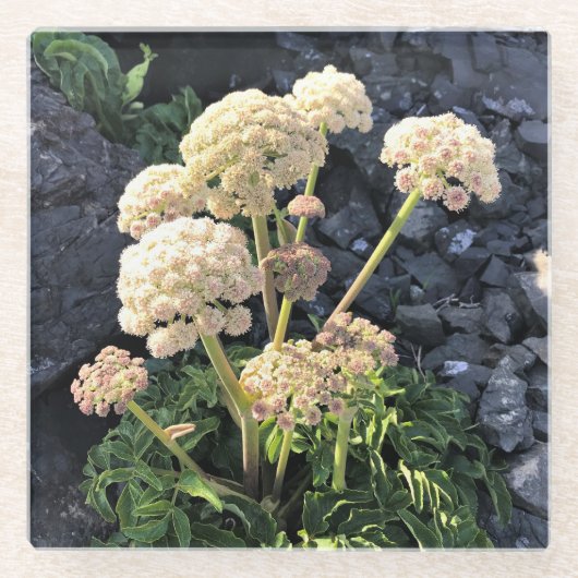 Dessous-de-verre En Verre Parc Rock State de Sisters (Devant)