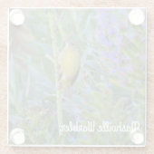 Dessous-de-verre En Verre Paruline de Nashville (Dos)