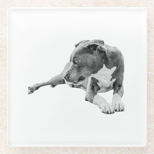 Dessous-de-verre En Verre Pause d'automne (Devant)