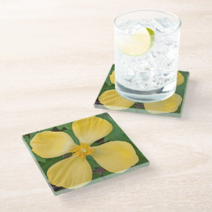 Dessous-de-verre En Verre Pavot coquelicot célidoine floral