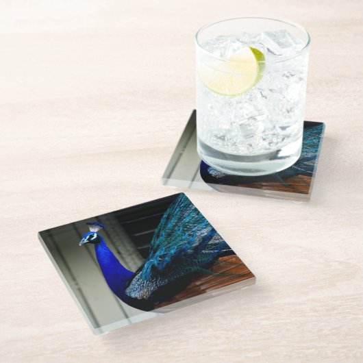 Dessous-de-verre En Verre Peacock bleu (Incliné)