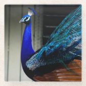 Dessous-de-verre En Verre Peacock bleu (Devant)