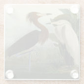 Dessous-de-verre En Verre Peinture de la faune d'Audubon Heron violet (Dos)