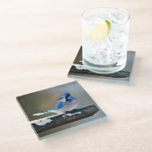 Dessous-de-verre En Verre Peinture Jay Bleu - Art Oiseau Original (Incliné)