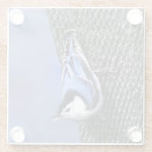 Dessous-de-verre En Verre Peinture Nuthatch à poitrine blanche Art original (Dos)