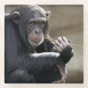Dessous-de-verre En Verre Pensez À Monkeying