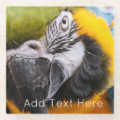 Dessous-de-verre En Verre Perroquet vert, bleu et jaune (Devant)