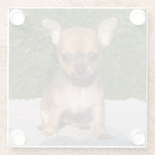 Dessous-de-verre En Verre Petit Chihuahua Chien chiot mignon (Dos)