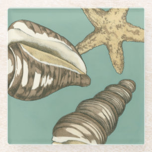 Dessous-de-verre En Verre Petit trio de Shell sur Teal