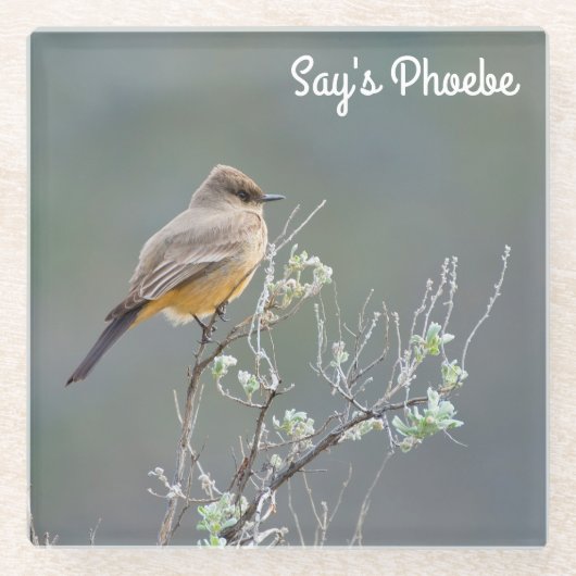 Dessous-de-verre En Verre Phoebe de Say (Devant)