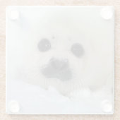 Dessous-de-verre En Verre Phoque de harpé de bébé (Dos)