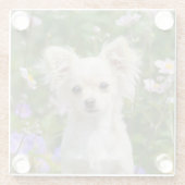 Dessous-de-verre En Verre Photo crème à cheveux longs mignonne d'animal (Dos)