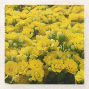 Dessous-de-verre En Verre Photo de fleur jaune délicate et vibrante florale