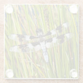 Dessous-de-verre En Verre Photo de libellule d'écrémage blanc commun (Dos)