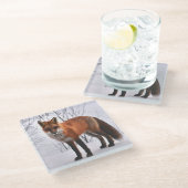 Dessous-de-verre En Verre Photo Red fox (Incliné)