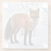 Dessous-de-verre En Verre Photo Red fox (Dos)