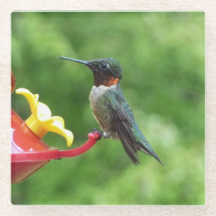 Dessous-de-verre En Verre Photographie d'oiseau Colibri à gorge rubis