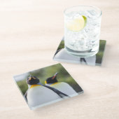 Dessous-de-verre En Verre Pingouins (Incliné)