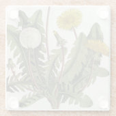 Dessous-de-verre En Verre Pissenlit (gravure de couleur) (Dos)