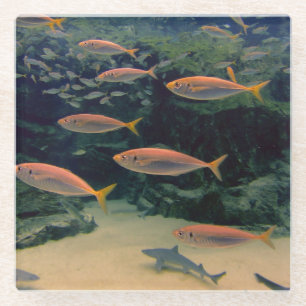 Dessous-de-verre En Verre Plage de poisson
