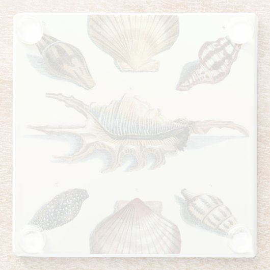 Dessous-de-verre En Verre Plage de Shell soignée (Dos)