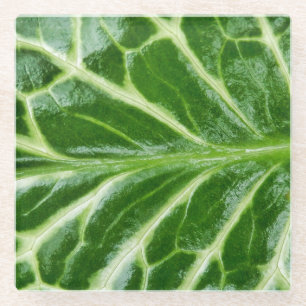 Dessous-de-verre En Verre Plante de pinte de cacao