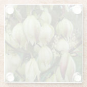 Dessous-de-verre En Verre Plante du Yucca (Dos)